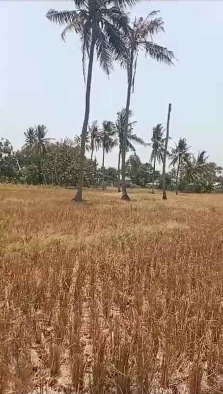 dijual tanah desa sukatenang