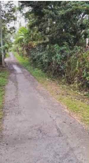 dijual tanah desa wisata belimbing