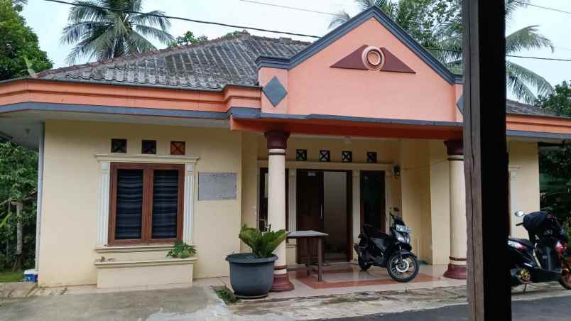 dijual tanah dijual tanah di gewok