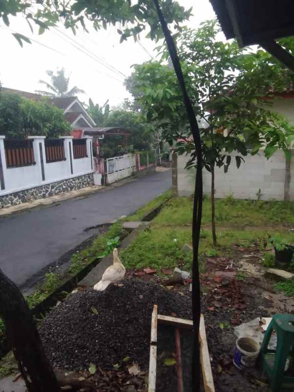 dijual tanah dijual tanah di gewok