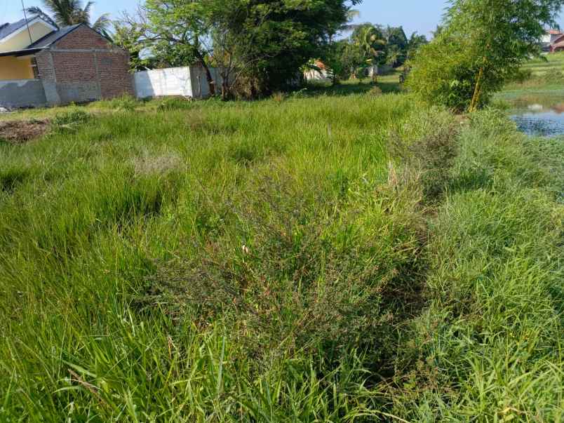 dijual tanah gg adung