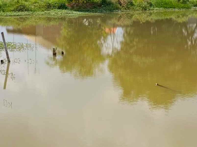 dijual tanah gg adung