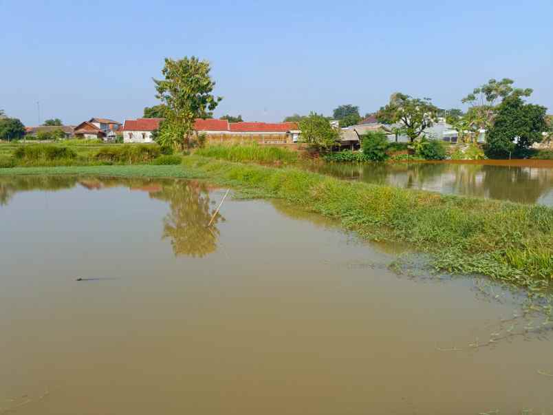dijual tanah gg adung