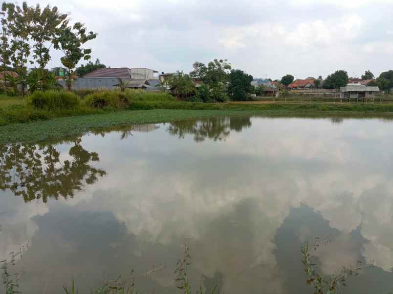 dijual tanah gg adung
