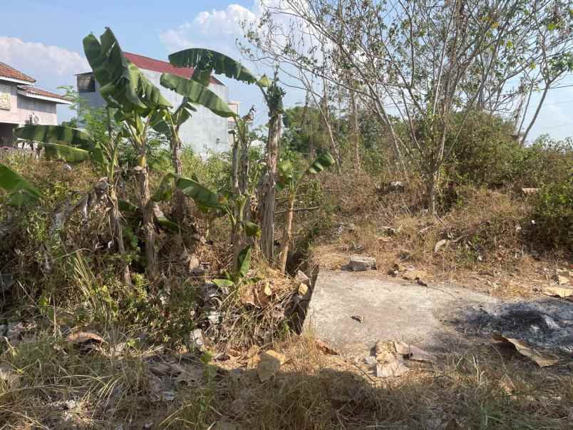 dijual tanah hook jebugan klaten jawa tengah