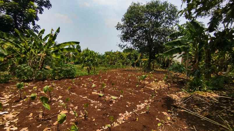 dijual tanah ja an jampang kali suren