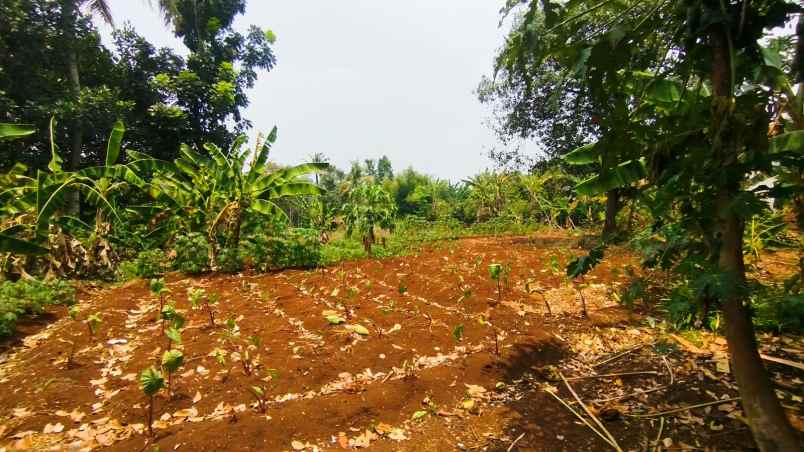 dijual tanah ja an jampang kali suren