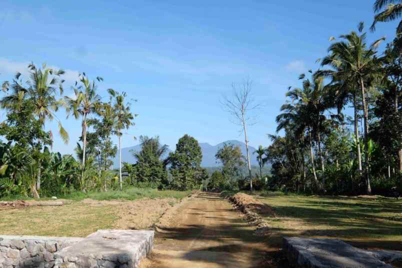 Tanah Murah Bagus Buahan Kaja Payangan Ubud Gianyar Bali