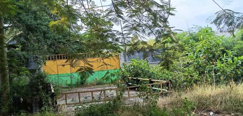 dijual tanah jalan indrokilo