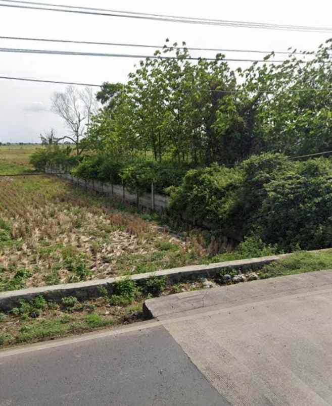 dijual tanah jalan pantura losarang