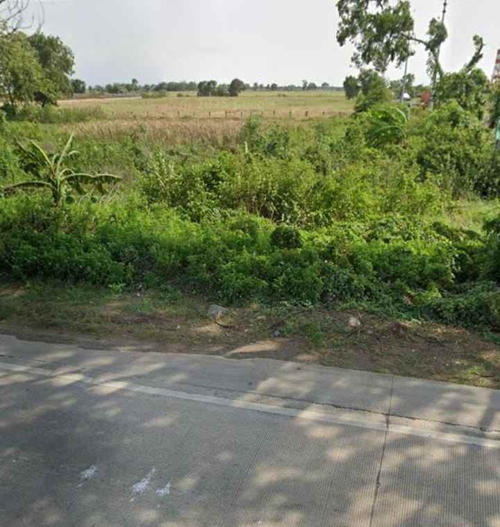 dijual tanah jalan pantura losarang