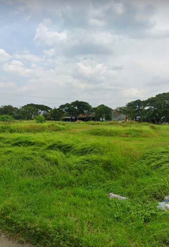 dijual tanah jalan raya bumi anggrek