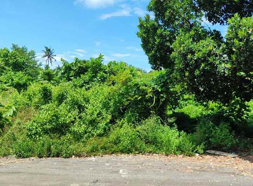 dijual tanah jl ahmad yani subagan kec