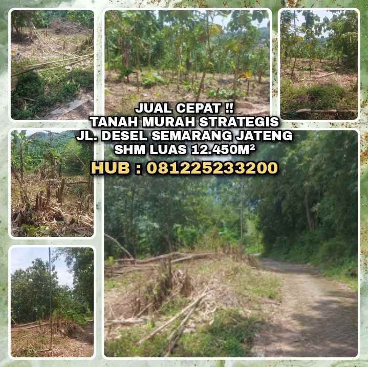 dijual tanah jl desel rt 03 rw 03