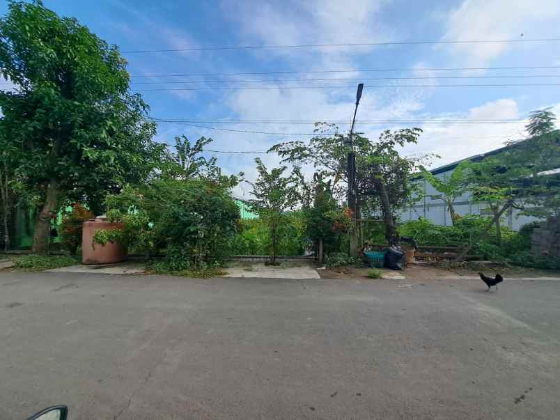 dijual tanah jl dk ngrodon