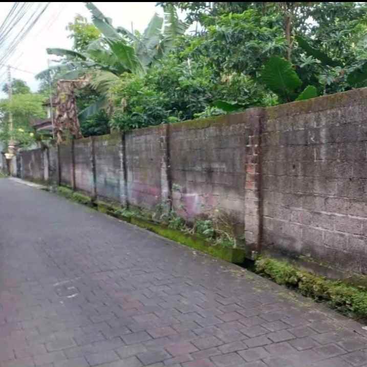 dijual tanah jl panji tibung sari