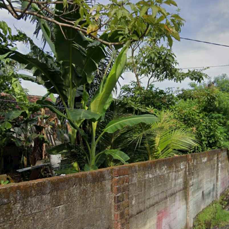 dijual tanah jl panji tibung sari