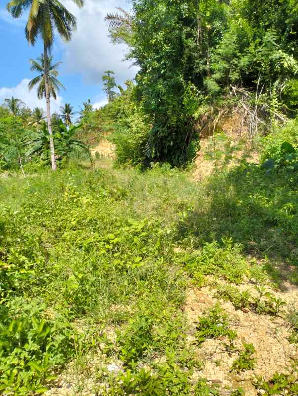 dijual tanah jl pantai batu