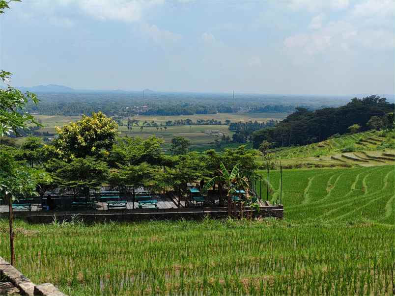 dijual tanah jl raya kaligesing