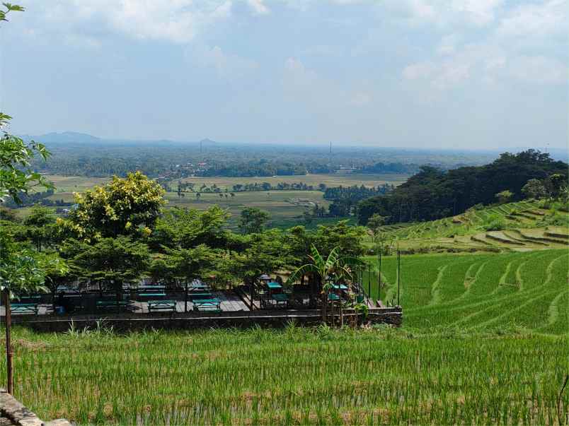 dijual tanah jl raya kaligesing