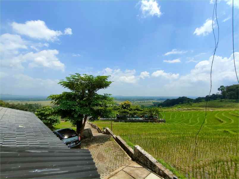 dijual tanah jl raya kaligesing