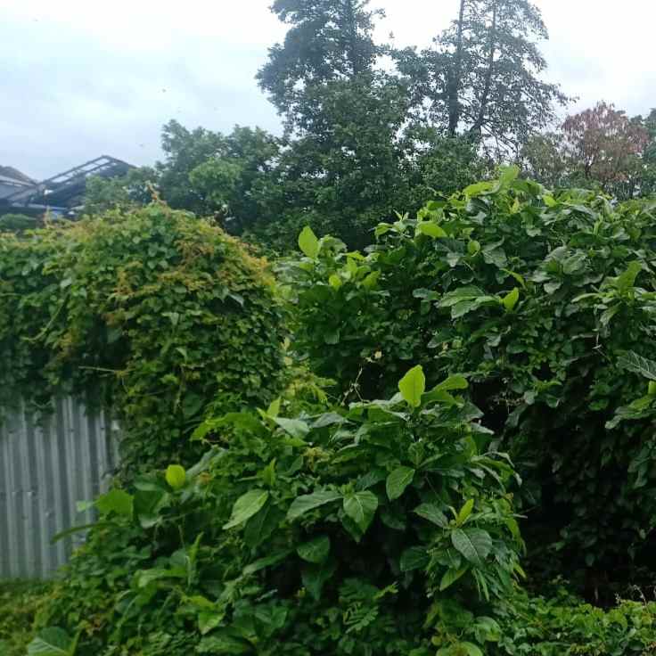 dijual tanah jl tukad badung xviii