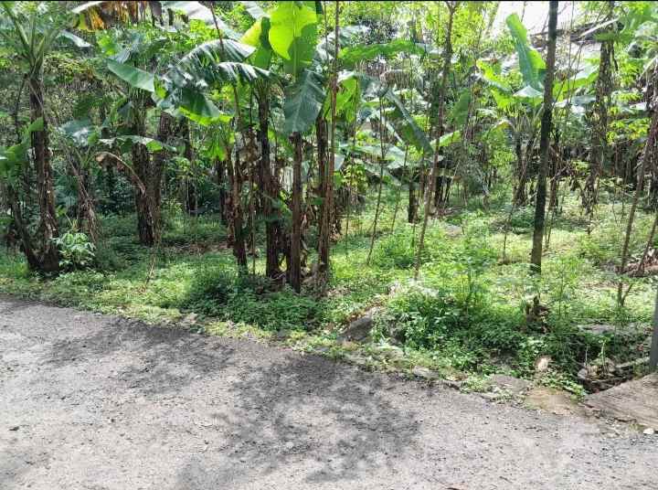 dijual tanah kebun akses jalan mobil