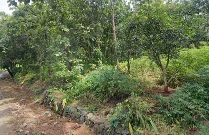 dijual tanah kebun pinggir jalan desa