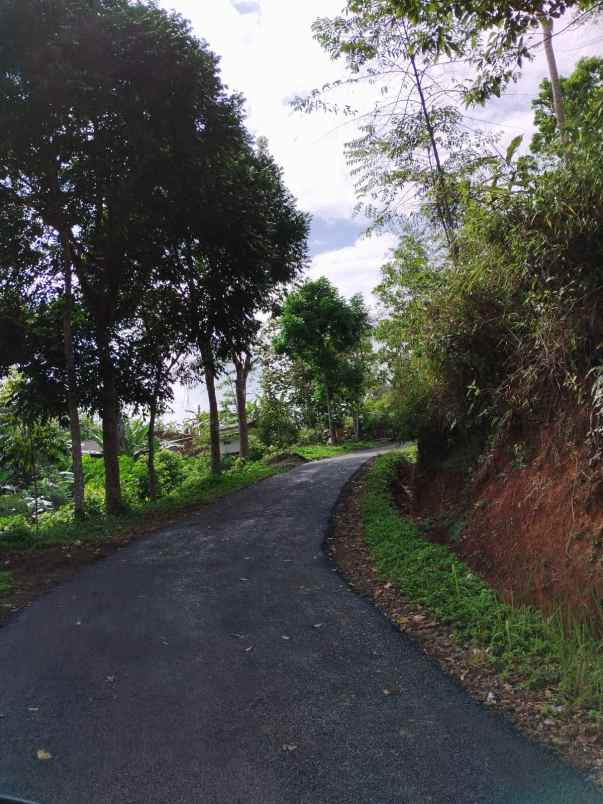 dijual tanah kebun produktif dan strategis