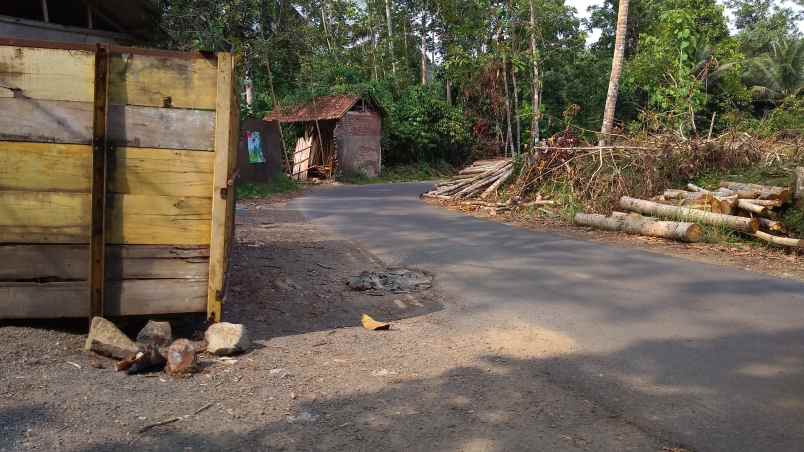 dijual tanah kebun produktif pinggir jalan raya