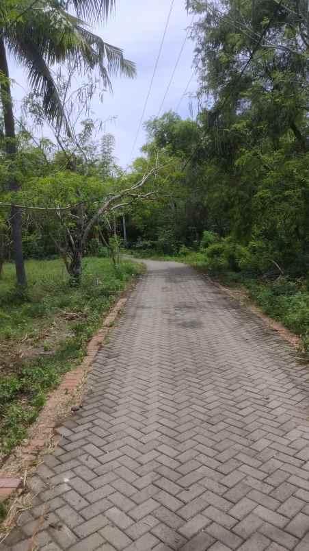 dijual tanah kelurahan klatak