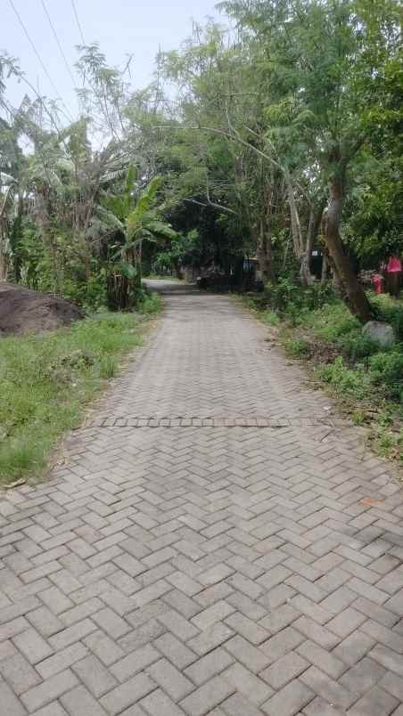 dijual tanah kelurahan klatak