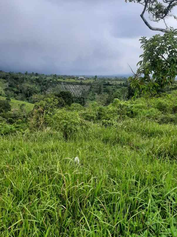 dijual tanah kintamani bangli bali