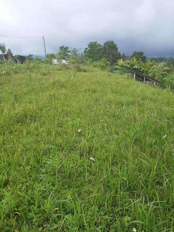 dijual tanah kintamani bangli bali