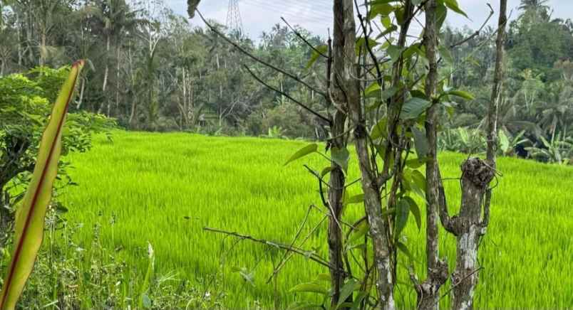 dijual tanah los sungai di desa sanda pupuan