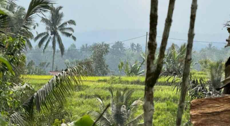 dijual tanah los sungai di desa sanda pupuan