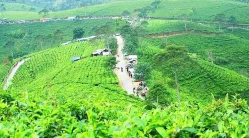 dijual tanah majalengka
