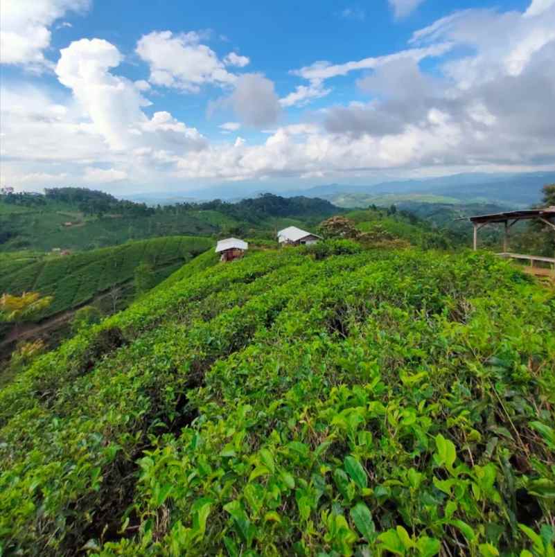 dijual tanah majalengka