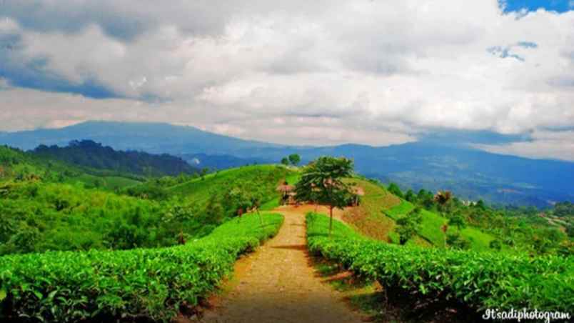 dijual tanah majalengka