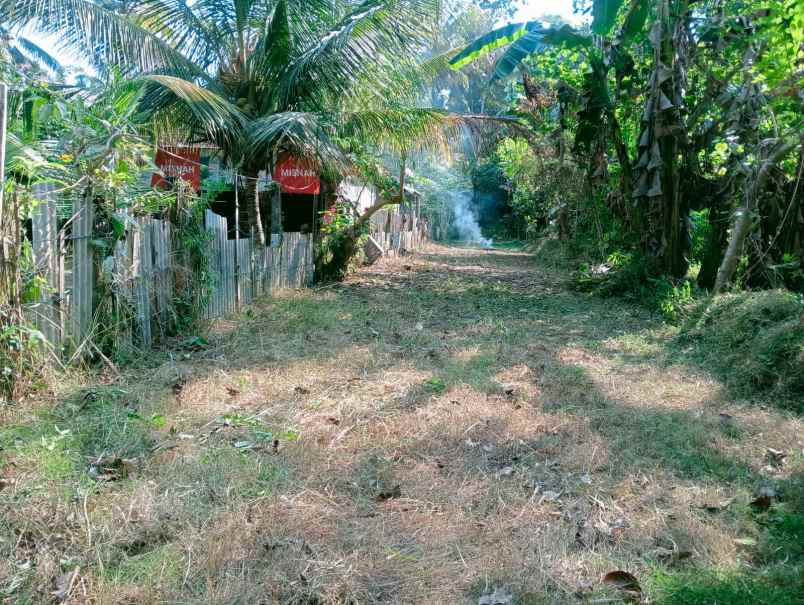 dijual tanah medewi beach pekutatan