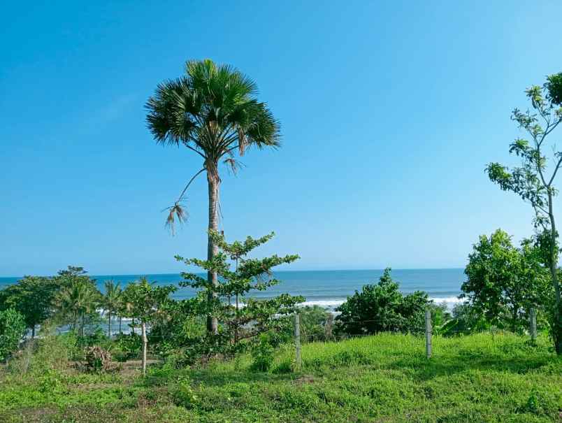 dijual tanah medewi beach pekutatan