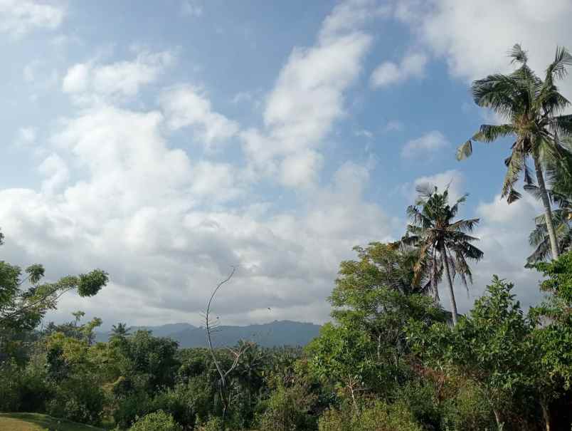 dijual tanah medewi beach pekutatan