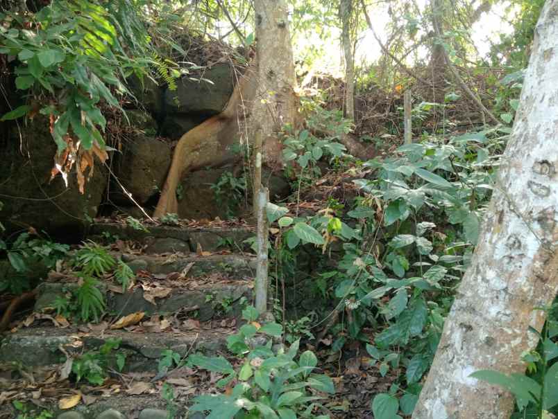dijual tanah medewi beach pekutatan