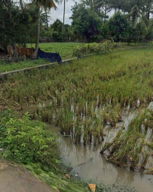 dijual tanah milik pribadi