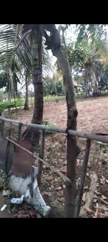 dijual tanah milik pribadi