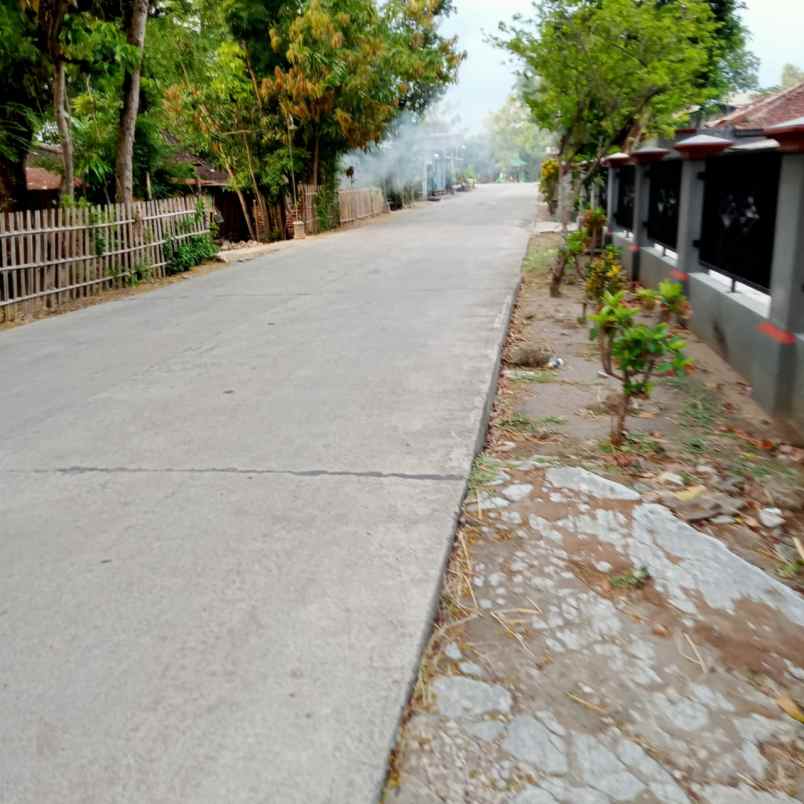 dijual tanah mojopuro sumberlawang sragen