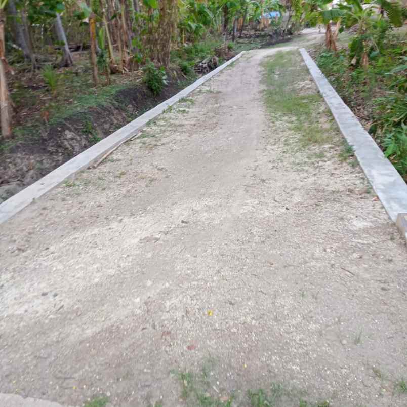 dijual tanah mojopuro sumberlawang sragen