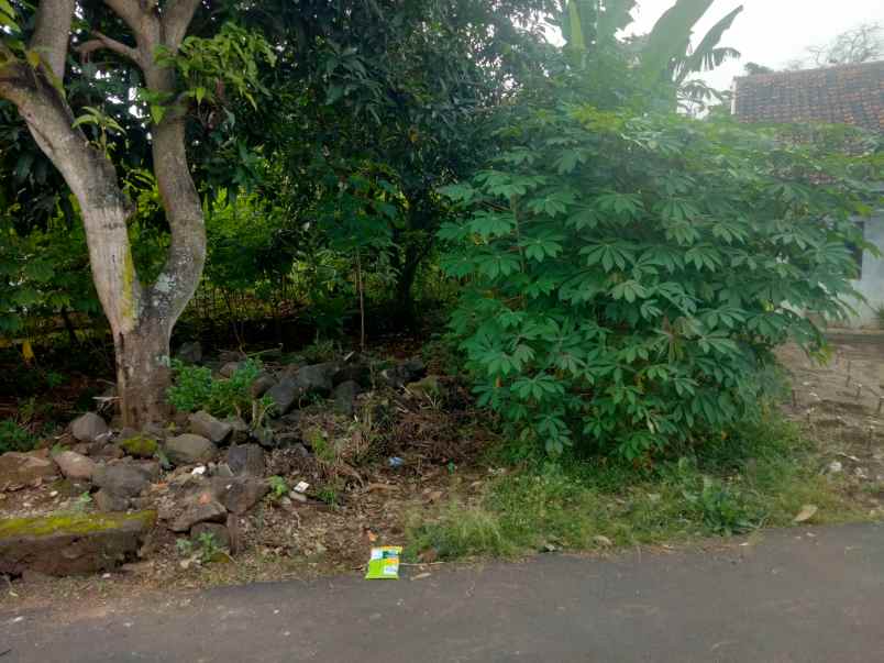 dijual tanah murah lingkungan penduduj