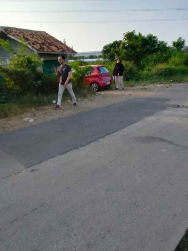 dijual tanah pabuaran