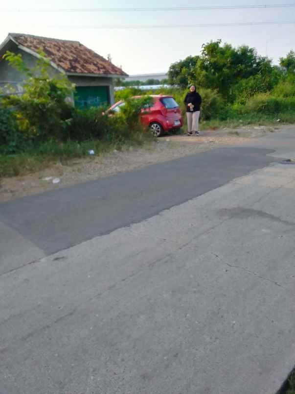 dijual tanah pabuaran